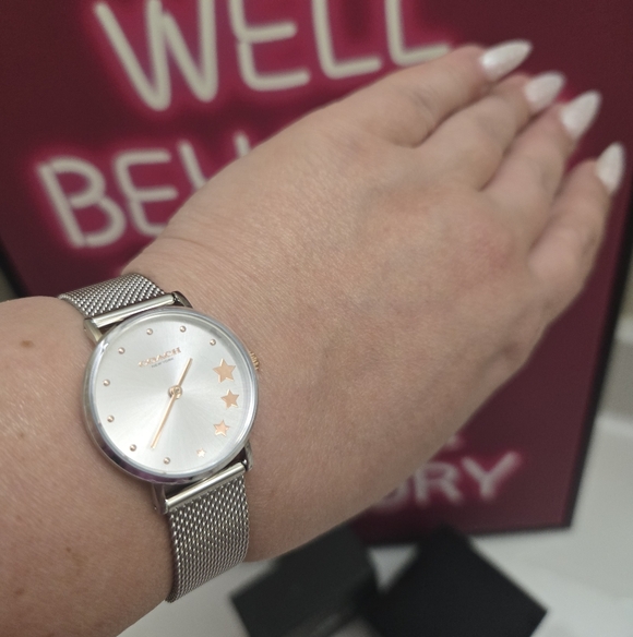 NIB Coach Women's Perry Women's Silver Tone Mesh Bracelet Stainless Steel Watch - Picture 4 of 11